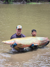 Load image into Gallery viewer, Stickbait Popper 60 (PE3) Travel Fishing Rod