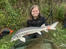 Load image into Gallery viewer, Stickbait Popper 60 (PE3) Travel Fishing Rod