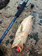 Load image into Gallery viewer, Stickbait Popper 60 (PE3) Travel Fishing Rod