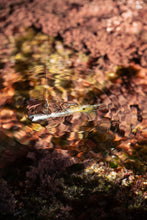 Load image into Gallery viewer, shrimp lure
