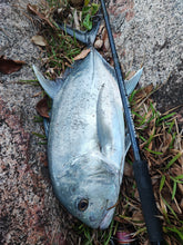 Load image into Gallery viewer, Stickbait Popper 60 (PE3) Travel Fishing Rod
