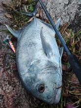 Load image into Gallery viewer, Stickbait Popper 60 (PE3) Travel Fishing Rod
